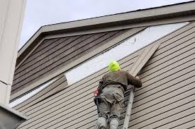 Best Historical Building Siding Restoration  in Fkville, AL